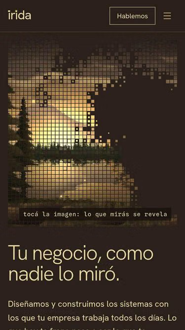 Screenshot of irida.com.ar