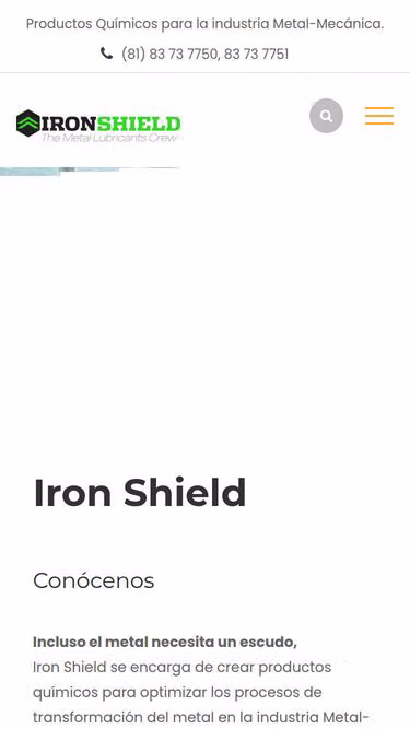 Screenshot of ironshield.com.mx