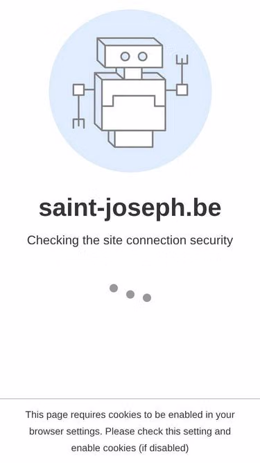 Screenshot of isj.be