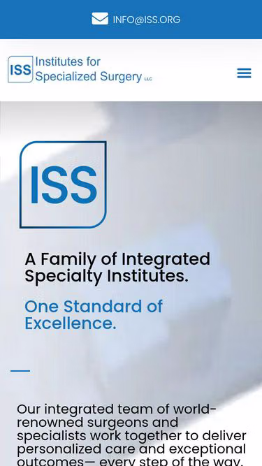 Screenshot of iss.org
