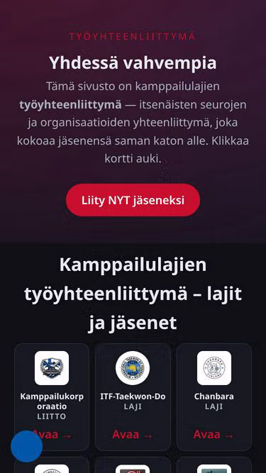 Screenshot of itf.fi