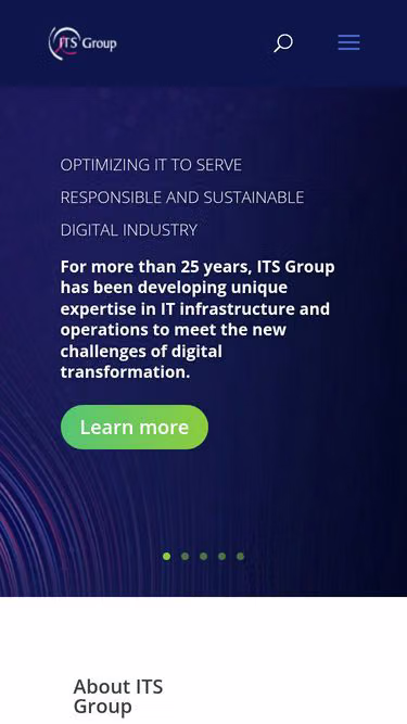 Screenshot of itsgroup.fr
