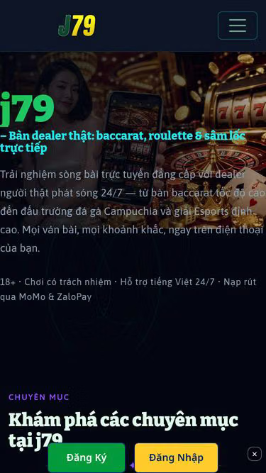Screenshot of j79.cam