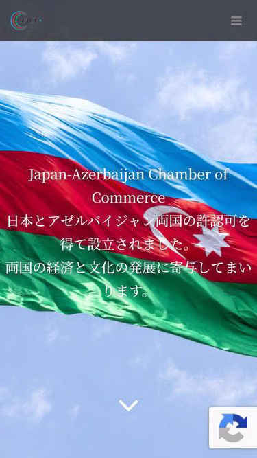 Screenshot of jacc.jp