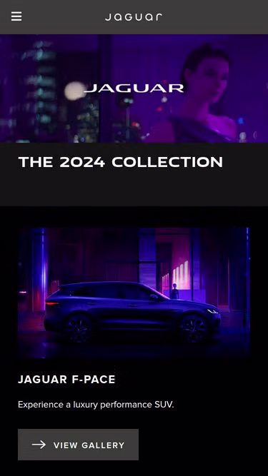 Screenshot of jaguar.lk