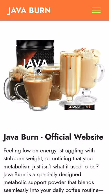 Screenshot of javaburn.one