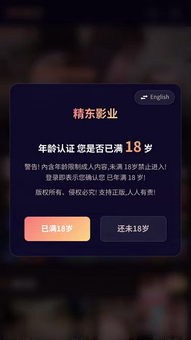 Screenshot of jd99.wiki
