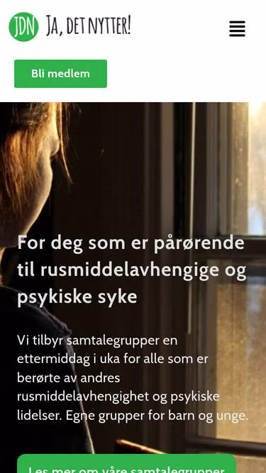 Screenshot of jdn.no
