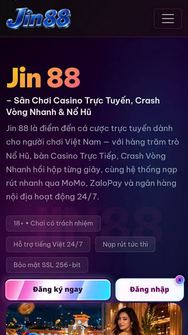 Screenshot of jin88.homes