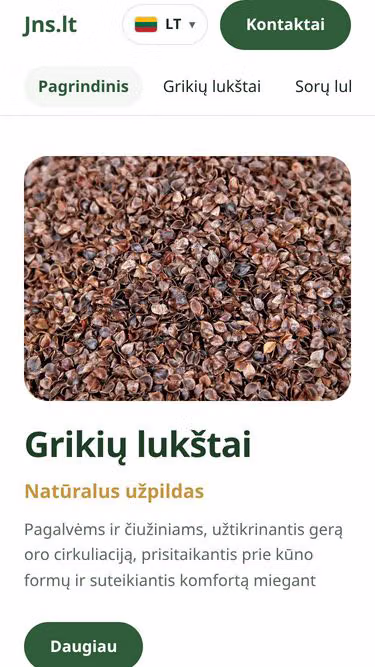 Screenshot of jns.lt