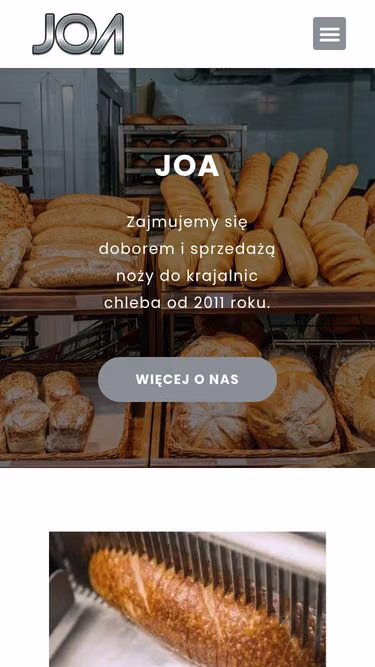 Screenshot of joa.com.pl