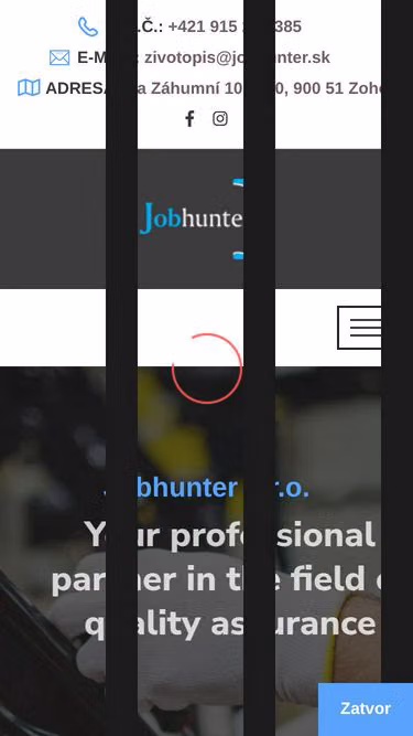 Screenshot of jobhunter.sk