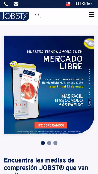 Screenshot of jobst.cl