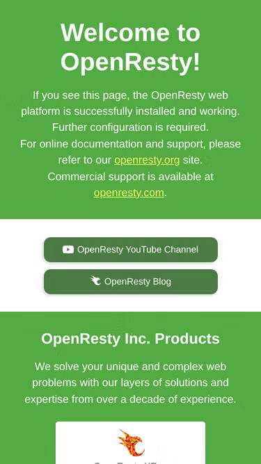 Screenshot of joey.net.cn