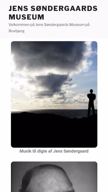 Screenshot of jsm.dk