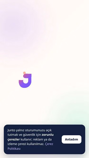 Screenshot of junto.tr