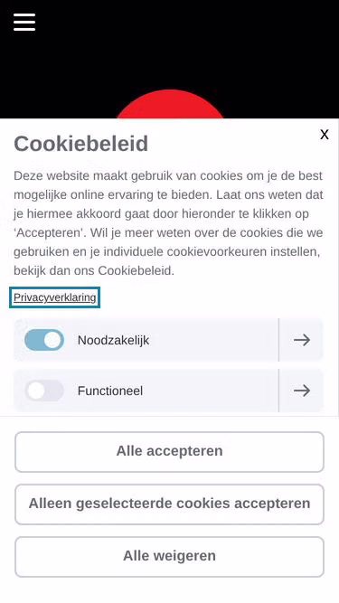 Screenshot of jva.one