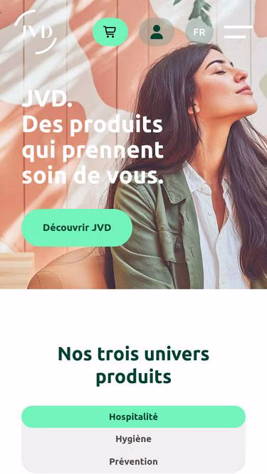 Screenshot of jvd.fr