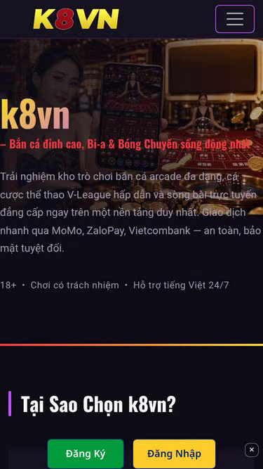Screenshot of k8vn.bar
