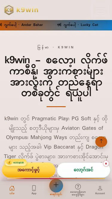 Screenshot of k9win.website