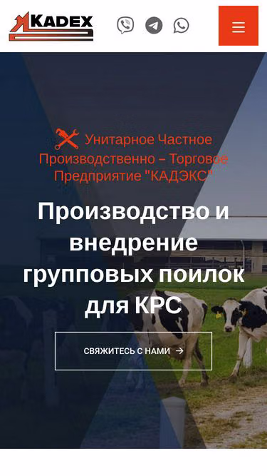Screenshot of kadex.by