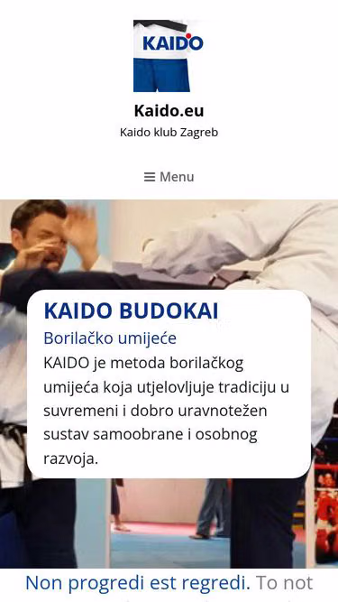 Screenshot of kaido.eu