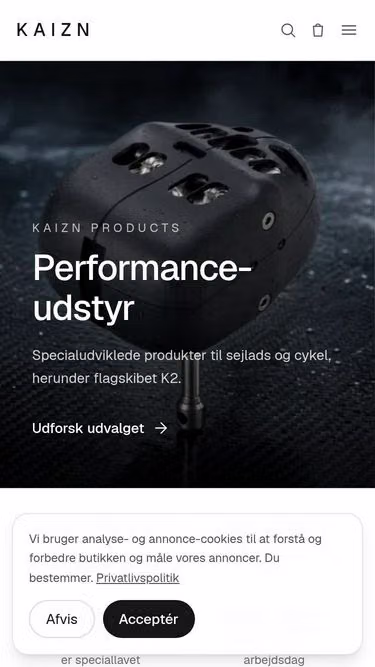 Screenshot of kaizn.dk