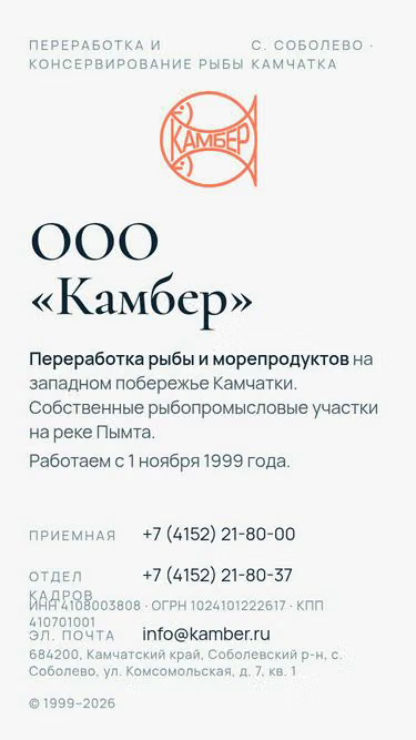 Screenshot of kamber.ru