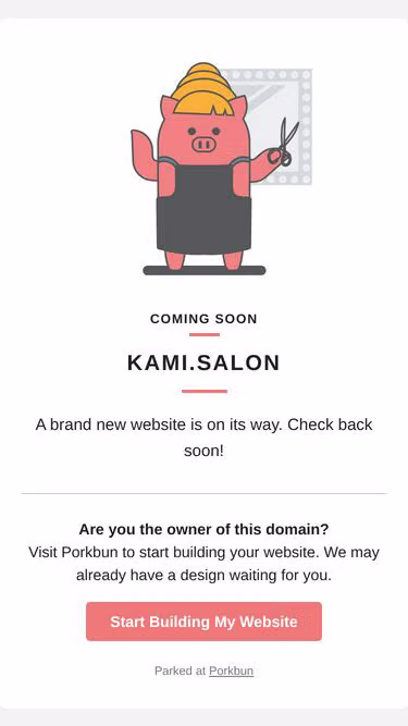 Screenshot of kami.salon