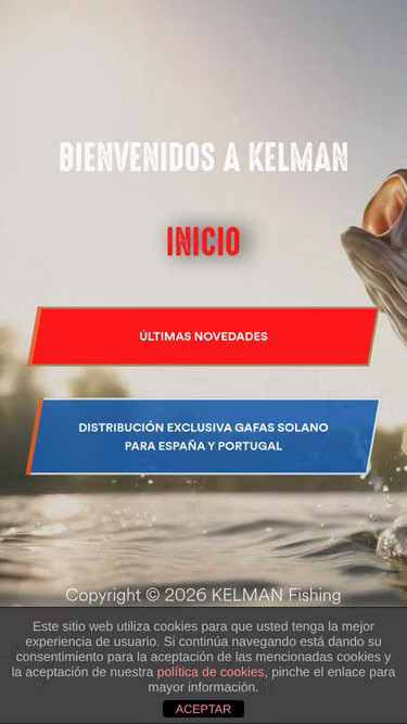 Screenshot of kelman.es