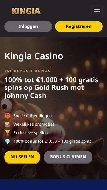 Screenshot of kingia.nl