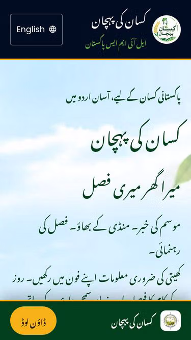 Screenshot of kkp.com.pk