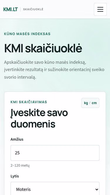 Screenshot of kmi.lt