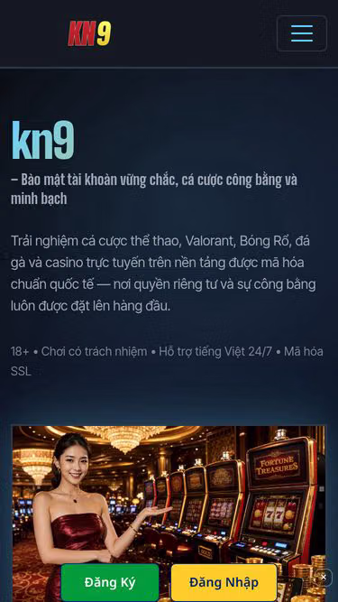 Screenshot of kn9.cam