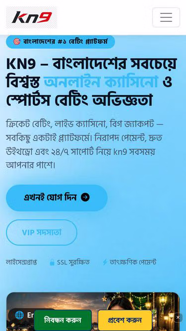 Screenshot of kn9.site