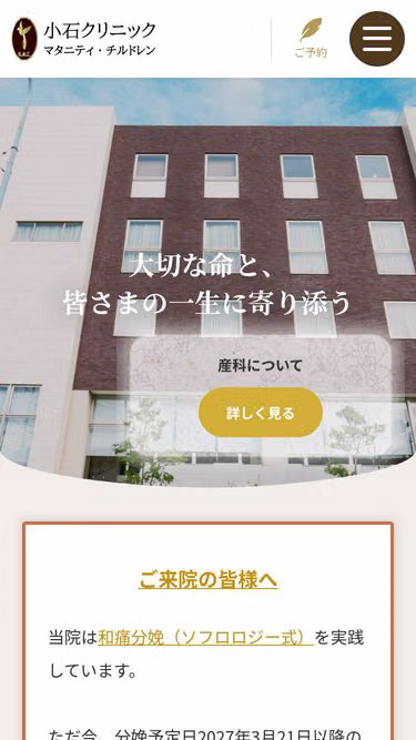 Screenshot of koishi.or.jp