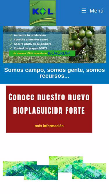 Screenshot of kol.com.mx