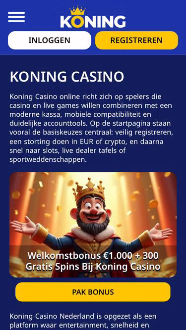 Screenshot of koningbet.org