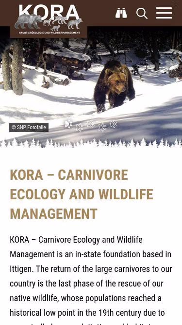 Screenshot of kora.ch