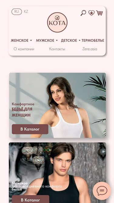Screenshot of kota.kz