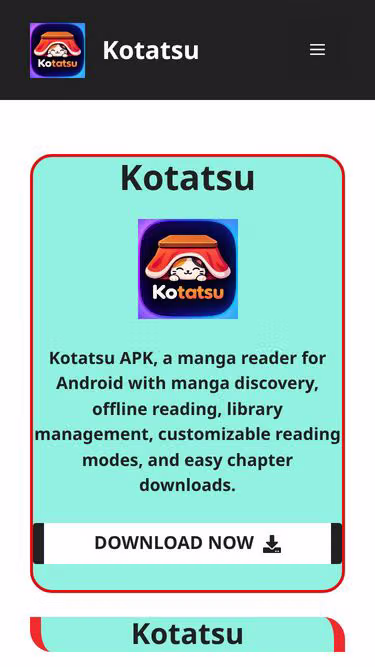 Screenshot of kotatsu.com.in