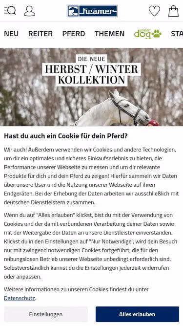 Screenshot of kraemer.de