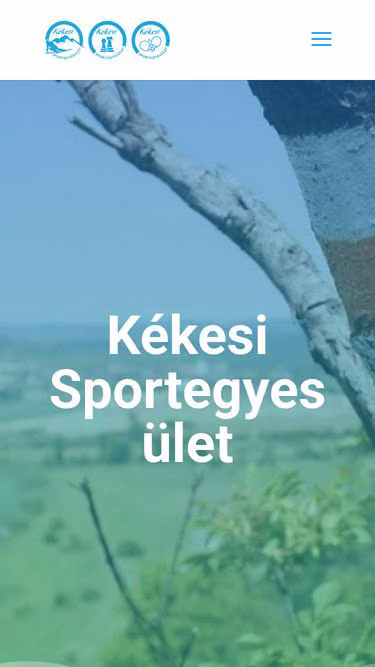 Screenshot of kse.hu
