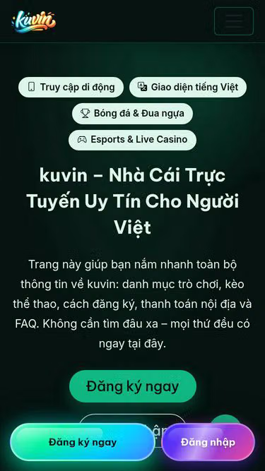 Screenshot of kuvin.ws
