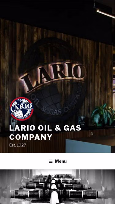 Screenshot of lario.net