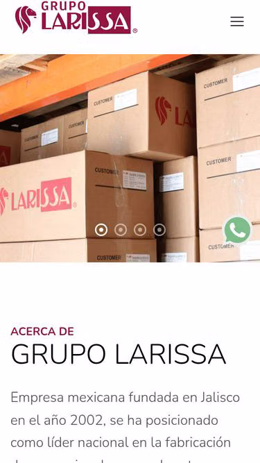Screenshot of larissa.com.mx