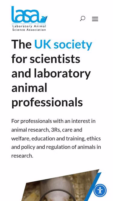 Screenshot of lasa.co.uk