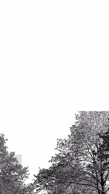 Screenshot of lass.fi