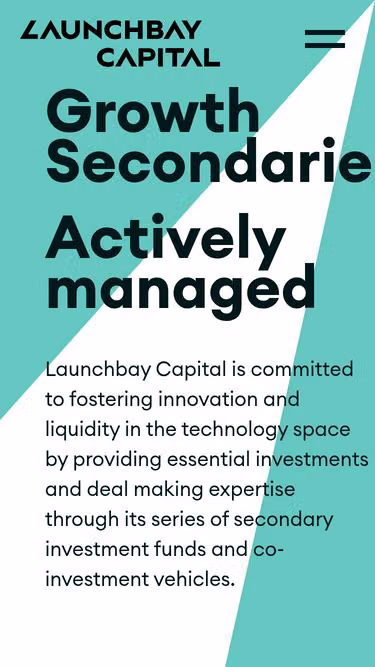 Screenshot of launchbay.vc