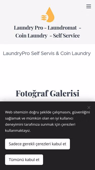 Screenshot of laundrypro.com.tr